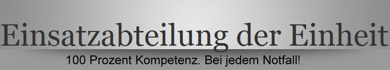 Einsatzabteilung der Einheit Wustermark